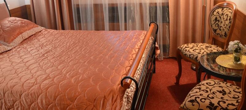Гостиница Моника Пермь-102