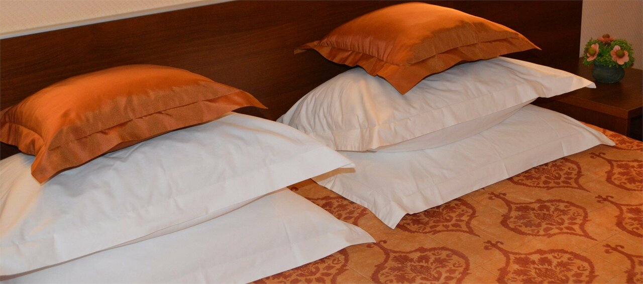 Гостиница Моника Пермь