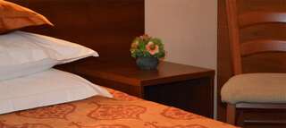 Гостиница Моника Пермь Бизнес-класс-2