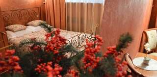 Гостиница Моника Пермь Номер с кроватью размера «queen-size»-8