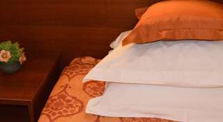 Гостиница Monika Пермь Улучшенный двухместный номер с 1 кроватью или 2 отдельными кроватями-8