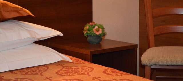 Гостиница Моника Пермь-94