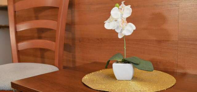 Гостиница Моника Пермь-121