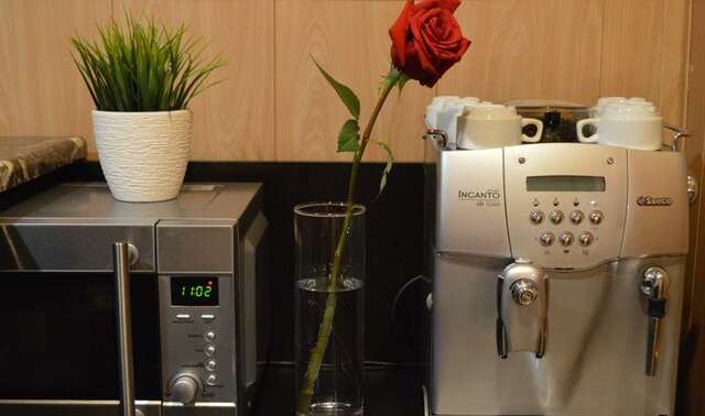 Гостиница Моника Пермь-110